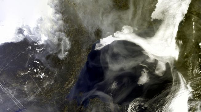 Kebakaran hutan Siberia picu emisi rumah kaca. [Eumetsat]