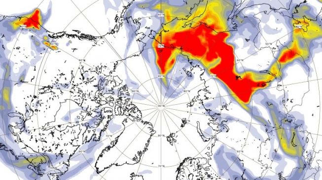 Kebakaran hutan Siberia picu emisi rumah kaca. [Eumetsat]