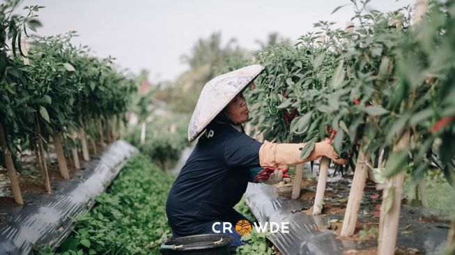 Gandeng Universitas, Crowde Regenerasi SDM Pertanian