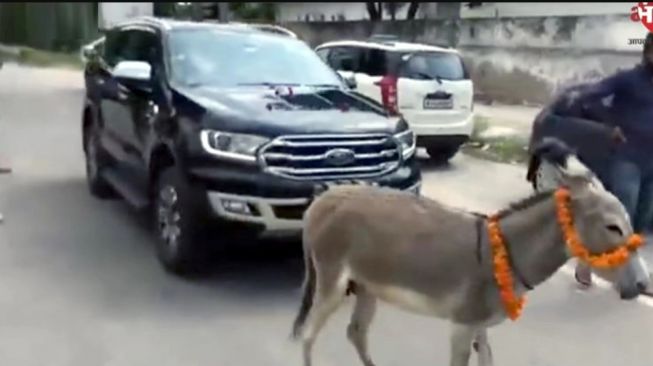 Begini Cara Protes Pemilik Mobil Ford ke Dealer, Manfaatkan Hewan Keledai