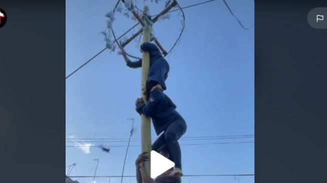 Aksi dua cewek ikut lomba panjat pinang (tiktok)