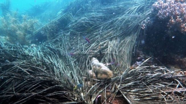 Sampah dari Kapal Pengambil Telur Ikan Cemari Kawasan Taman Laut Kei Kecil 