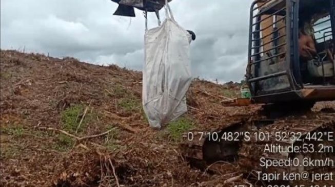 Tapir Dievakuasi Pakai Alat Berat karena Kaki Putus Terkena Jerat