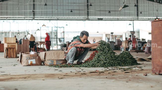 Pedagang merapikan cabai rawit di Pasar Induk Jatiuwung, Tangerang. Senin (23/8). (Suara.com/ Hilal Rauda Fiqry)