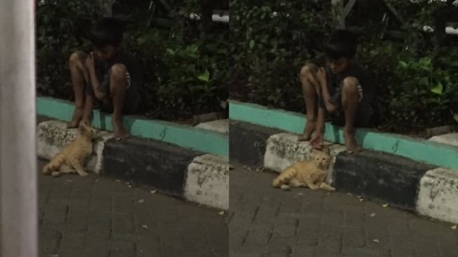 Viral Foto Bocah Peluk Erat Kucing di Pinggir Jalan. (Twitter/@saintlaurus)