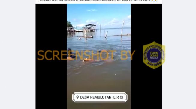 Cek Fakta: Viral Video Warga Pemulutan Akrab Bermain dengan Buaya, Benarkah?