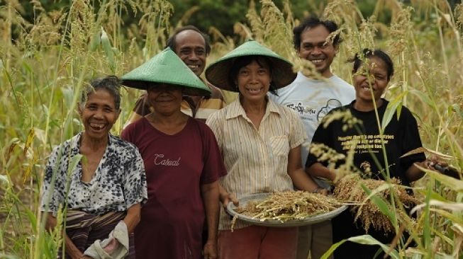 Jadi Sumber Karbohidrat Hingga Protein Nabati, Ini 5 Pangan Lokal Nusa Tenggara Timur