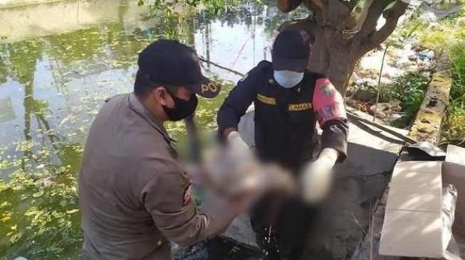 Terbungkus Plastik Hitam, Warga Duren Sakit Digegerkan Temuan Mayat Bayi di Tong Sampah