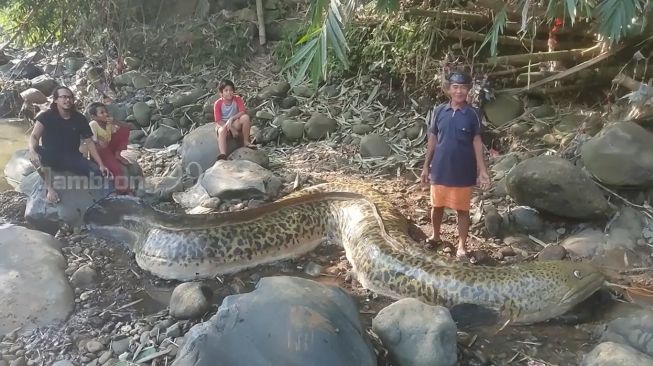 Warga Tangkap Ikan Seberat 1 Ton Bikin Syok, Publik: Kreativitas Tanpa Batas