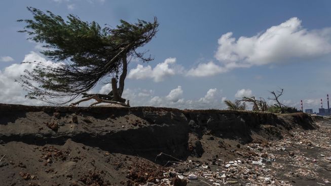 Ombak menggerus bibir pantai akibat jebolnya tanggul penahan abrasi darurat, di Pantai Kemiren, Cilacap Selatan, Cilacap, Jateng, Jumat (27/8/2021). ANTARA FOTO/Idhad Zakaria