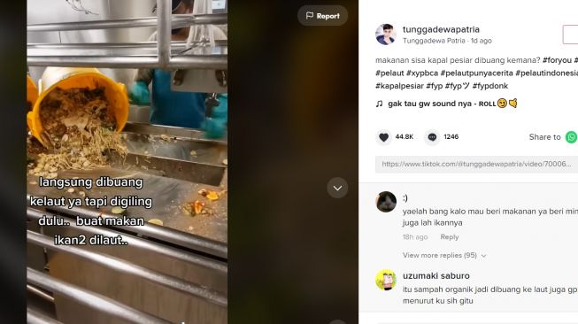 Pria Ungkap Kemana Sisa Makanan di Kapal Pesiar Dibuang (TikTok)