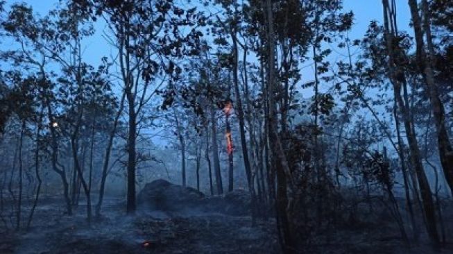 90 Titik Panas Terpantau di Sumatera, Riau Sumbang Tujuh