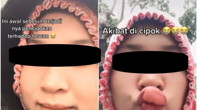 Pamer bibir bengkak habis 'dicipok' (TikTok)