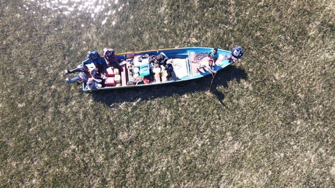 Padang lamun di perairan Raja Ampat, Kampung Waigama, Distrik Misool Utara, Papua barat, dipotret dari udara. [Rivaldo Patty/FFI]