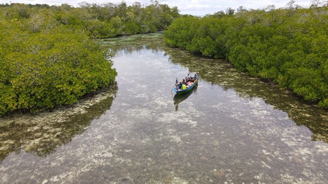 Padang lamun di perairan Raja Ampat, Kampung Waigama, Distrik Misool Utara, Papua barat, dipotret dari udara. [Rivaldo Patty/FFI]