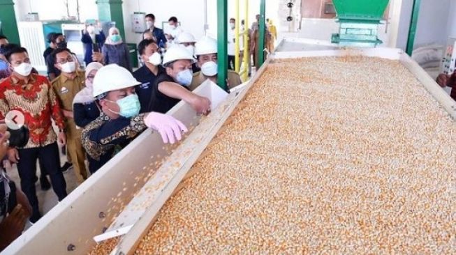 Pabrik benih jagung dengan investasi Rp 34 Miliar di Kabupaten Maros, Sulawesi Selatan [SuaraSulsel.id / Instagram Andi Sudirman Sulaiman]