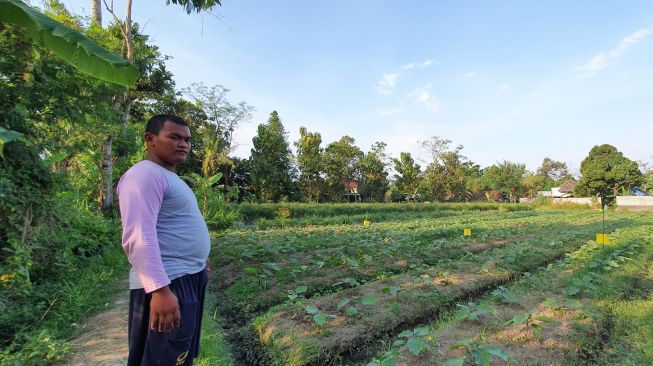  Petani muda di Kabupaten Sleman Maulana Pratama Dewa. [Hiskia Andika Weadcaksana / SuaraJogja.id]