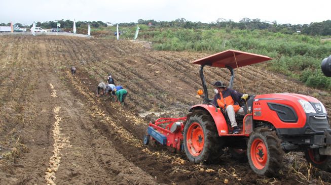 Tahun Depan Target Penambahan Lahan 2.000 Ha di Food Estate