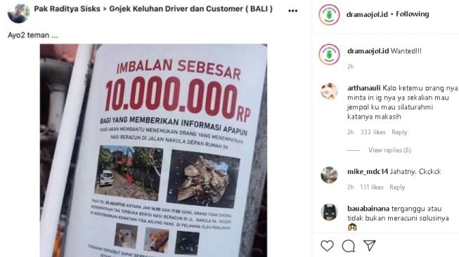 Pria di Bali gelar sayembara untuk temukan pelaku yang meracuni anjingnya (instagram)