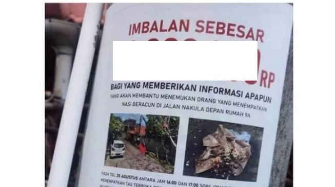 VIRAL WNA di Bali Gelar Sayembara Berhadiah Rp 10 Juta Temukan Pemberi Racun ke 3 Anjing,