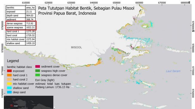 Peta tutupan habitat bentik, sebagian pulau Misool, Papua Barat. (Muhammad Hafizt/Kelompok Penelitian Ekologi Spasial, P2O LIPI).