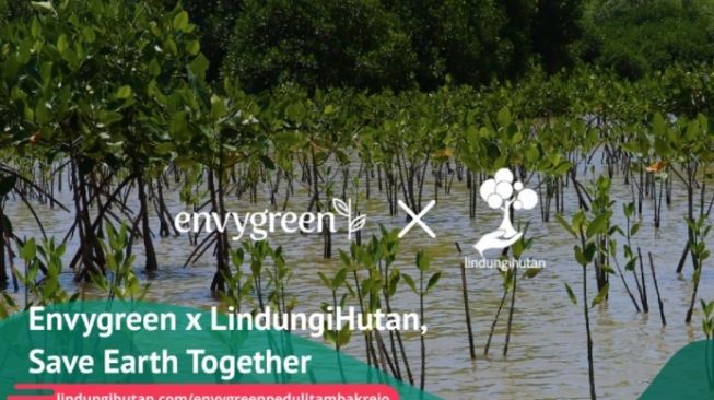 Envygreen melakukan aksi tanam pohon dengan menggandeng Lindungi Hutan. [Dokumentasi Envygreen]