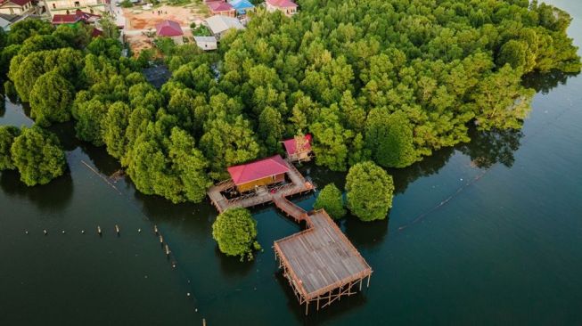 Pupuk Kaltim Komitmen Perluas Area Konservasi Mangrove dan Peningkatan Ekonomi Masyarakat