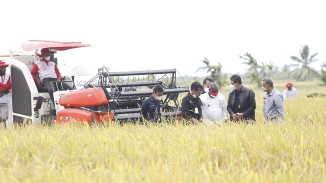 Bangun Pertanian di Ujung Indonesia, Senator Papua Apresiasi Kerja Kementan