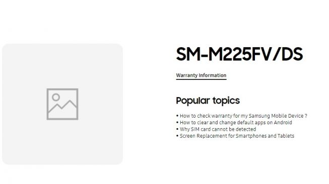 Bocoran Samsung Galaxy M22. [Samsung]