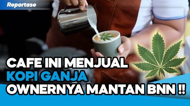 Video: Cafe di Bandung Menjual Kopi Ganja, Pemiliknya Mantan BNN