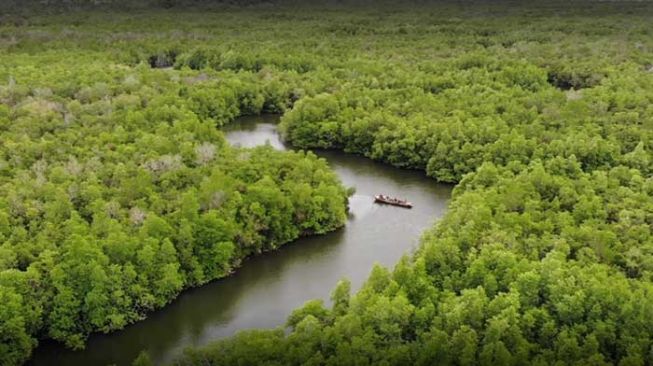 Raih Indonesia Green Award untuk Program Konservasi Mangrove, Askrindo: Kami Tidak akan Berpuas Sampai di Sini