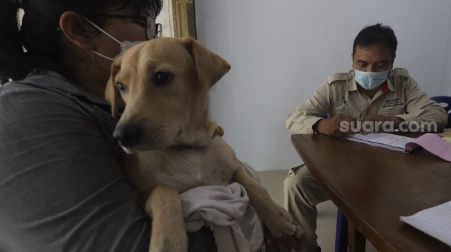 Hari Rabies Sedunia, Ini Pentingnya Lakukan Vaksinasi untuk Hewan Peliharaan