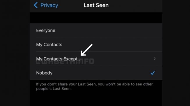 Fitur baru WhatsApp last seen. [Wabetainfo]
