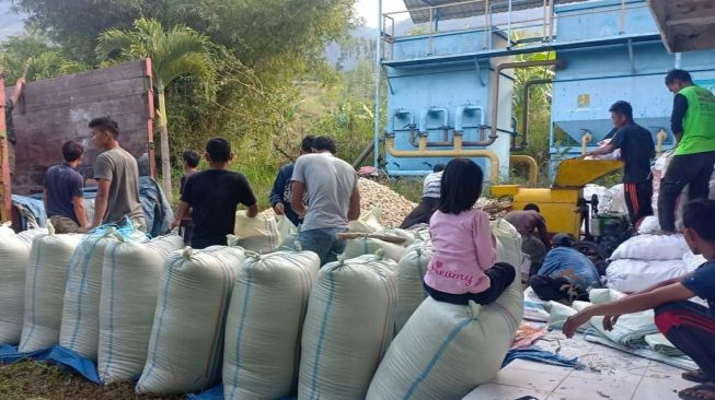 Duta Petani Milenial Gayo Lues Panen Jagung 17 Ton