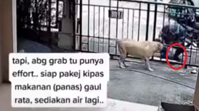 Aksi driver ojol beri makan anjing (twitter)