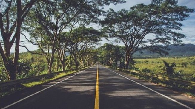 Bangun Jalan Lintas Bono Pelalawan, Pemprov Riau Siapkan Anggaran Rp99 Miliar