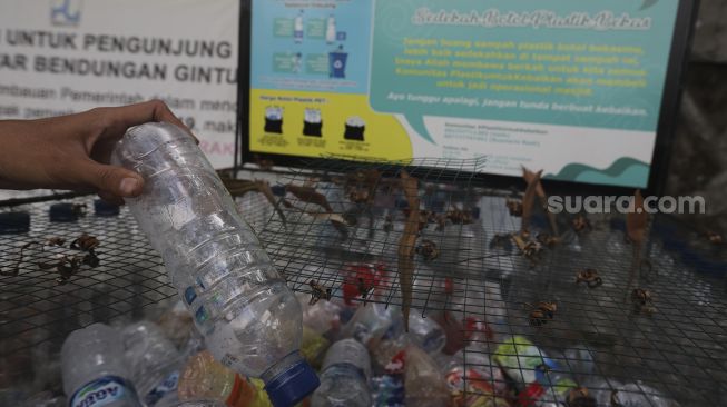 Pengunjung memasukkan sampah botol ke dalam tempat sampah yang berada di kawasan Situ Gintung, Tangerang Selatan, Banten, Kamis (9/9/2021). [Suara.com/Angga Budhiyanto]