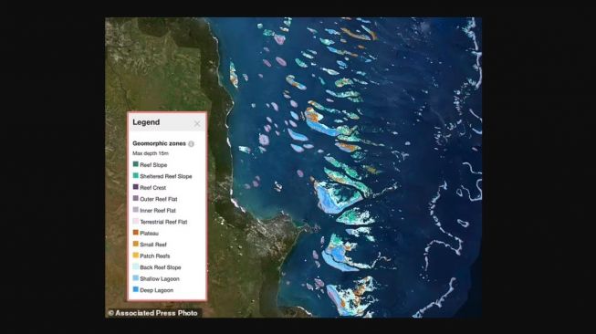 Terumbu karang yang terancam punah. [Daily Mail]
