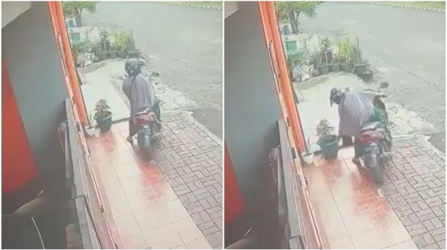Viral Video Emak-emak Curi Tanaman di Depan Pagar, Kabur Naik Motor Potnya Ditinggal