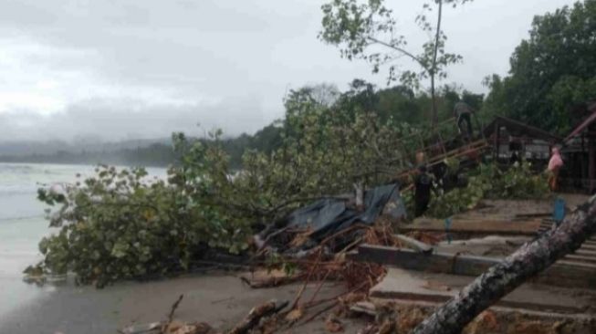 Pantai Batu Gong Konawe Porak-Poranda Dihantam Ombak, Akar Pohon Terangkat