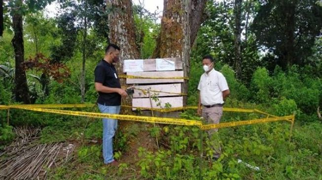 Gara-gara Durian, Pria di Jambi Dikarungi lalu Dikubur dalam Rawa