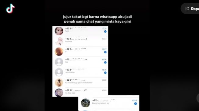 Viral Curhatan Cewek Berhijab, Foto dan Nomor WA Disebar ke Grup Pemersatu Bangsa. [tangkapan layar TikTok]