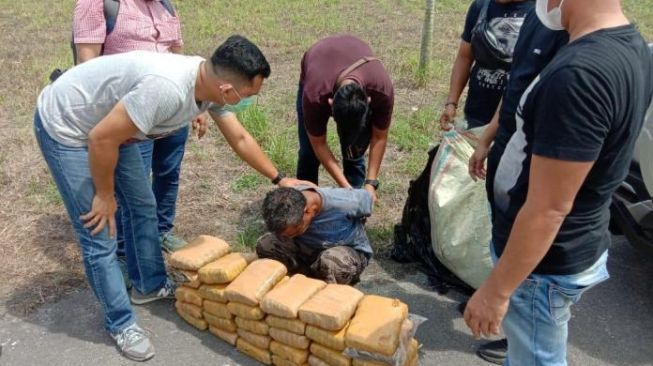 Sopir Ini Dibekuk Edarkan Ganja 30 Kilogram, Tergiur Untung Rp 21 Juta