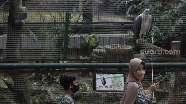 Pengunjung melihat koleksi burung di Taman Burung, Taman Mini Indonesia Indah (TMII), Jakarta, Minggu (12/9/2021). [Suara.com/Angga Budhiyanto]