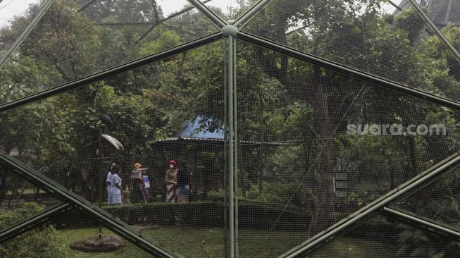 Pengunjung melihat koleksi burung di Taman Burung, Taman Mini Indonesia Indah (TMII), Jakarta, Minggu (12/9/2021). [Suara.com/Angga Budhiyanto]