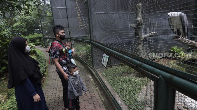 Pengunjung melihat koleksi burung di Taman Burung, Taman Mini Indonesia Indah (TMII), Jakarta, Minggu (12/9/2021). [Suara.com/Angga Budhiyanto]