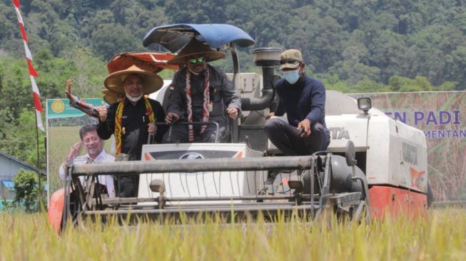 Mentan Antusias Hadiri Panen Padi Varietas Unggul di Kalbar