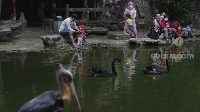 Pengunjung berinteraksi dengan koleksi burung di Taman Burung, Taman Mini Indonesia Indah (TMII), Jakarta, Minggu (12/9/2021). [Suara.com/Angga Budhiyanto]