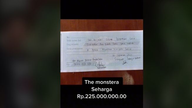 Viral Tanaman Hias Harganya Bikin Melongo, Laku Terjual Rp 225 Juta (TikTok)