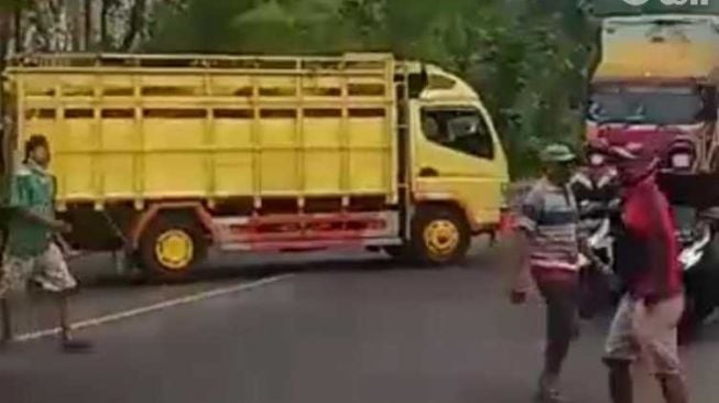 Viral! Sopir Truk Sapi Ditilang, Kawannya Tak Terima Blokir Jalur Pantura Tuban